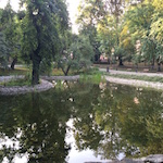 Ogród Saski w Lublinie, 11.08.2015