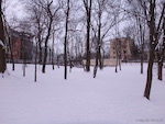 Ogród Saski zimą, Lublin 10.01.2019