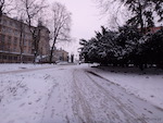 Ogród Saski zimą, Lublin 10.01.2019